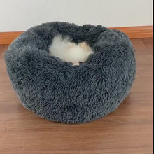 Load and play video in Gallery viewer, Long Plush Super Soft Dog Bed
