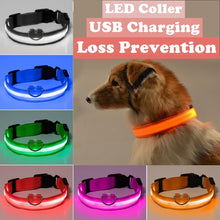 Load image into Gallery viewer, Safety LED Dog Collar
