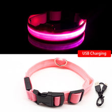 Load image into Gallery viewer, Safety LED Dog Collar
