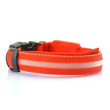 Load image into Gallery viewer, Safety LED Dog Collar
