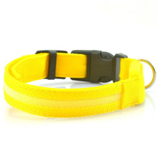 Load image into Gallery viewer, Safety LED Dog Collar
