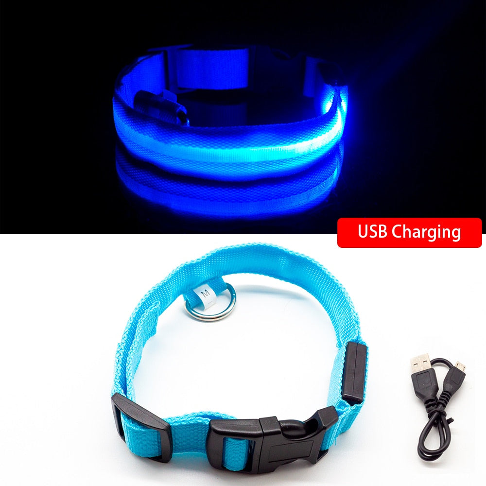 Safety LED Dog Collar