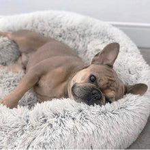 Load image into Gallery viewer, Long Plush Super Soft Dog Bed
